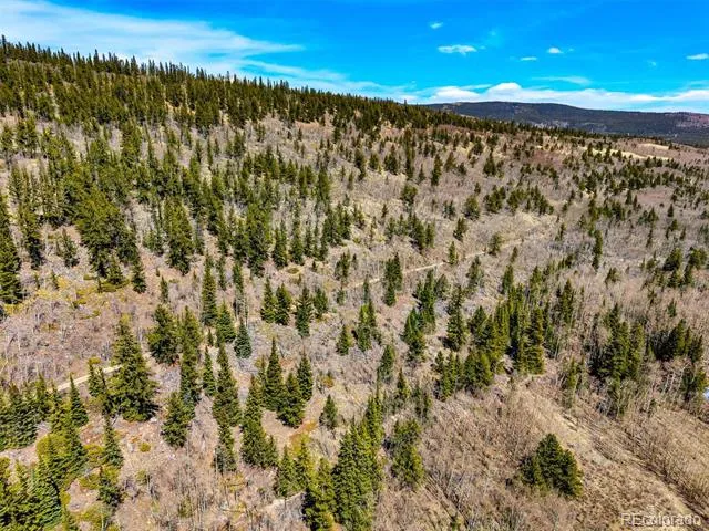 270 Co Rd 667 Fairplay, CO 80440