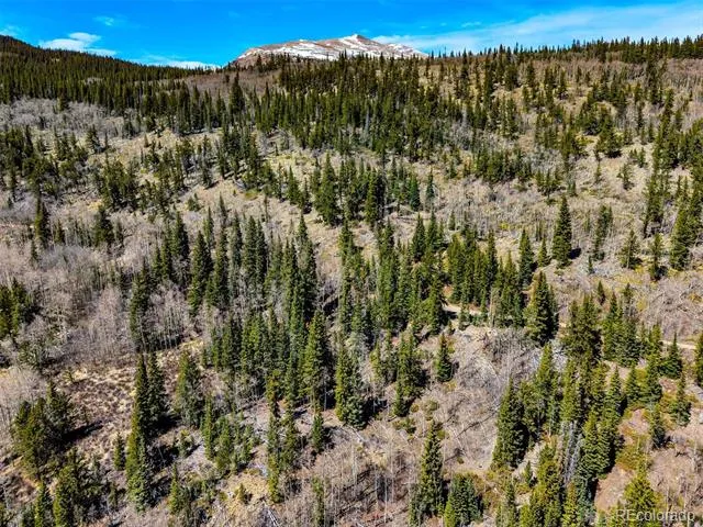 270 Co Rd 667 Fairplay, CO 80440