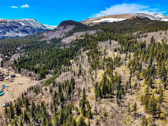 270 Co Rd 667 Fairplay, CO 80440
