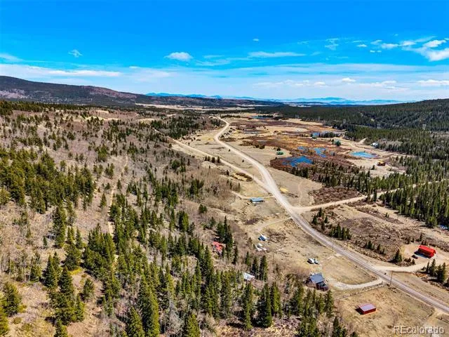 270 Co Rd 667 Fairplay, CO 80440