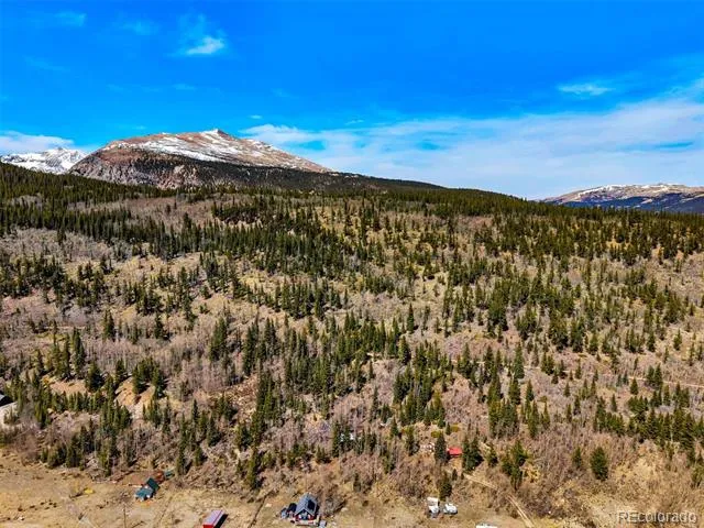 270 Co Rd 667 Fairplay, CO 80440