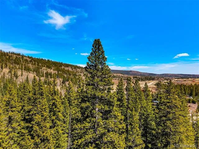 270 Co Rd 667 Fairplay, CO 80440