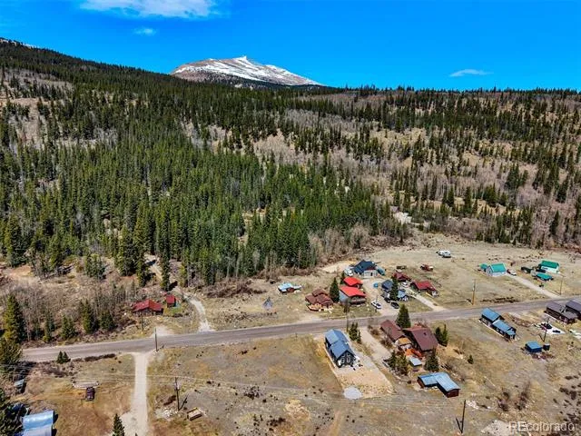 270 Co Rd 667 Fairplay, CO 80440