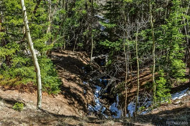 270 Co Rd 667 Fairplay, CO 80440