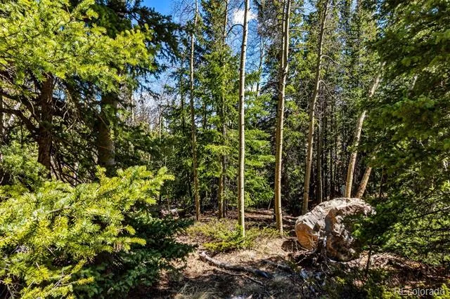 270 Co Rd 667 Fairplay, CO 80440