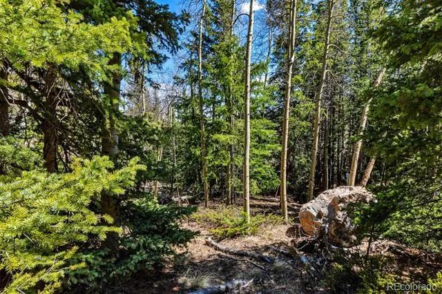 270 Co Rd 667 Fairplay, CO 80440