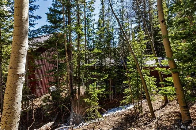 270 Co Rd 667 Fairplay, CO 80440