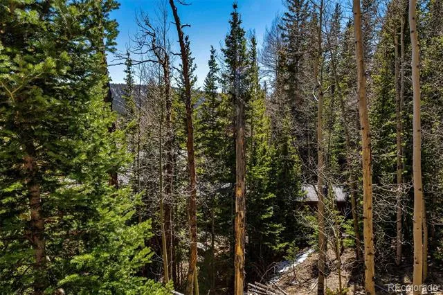 270 Co Rd 667 Fairplay, CO 80440