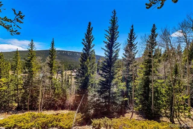 270 Co Rd 667 Fairplay, CO 80440