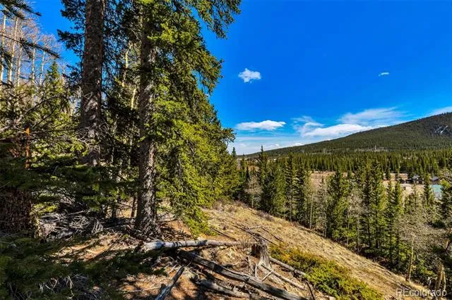 270 Co Rd 667 Fairplay, CO 80440