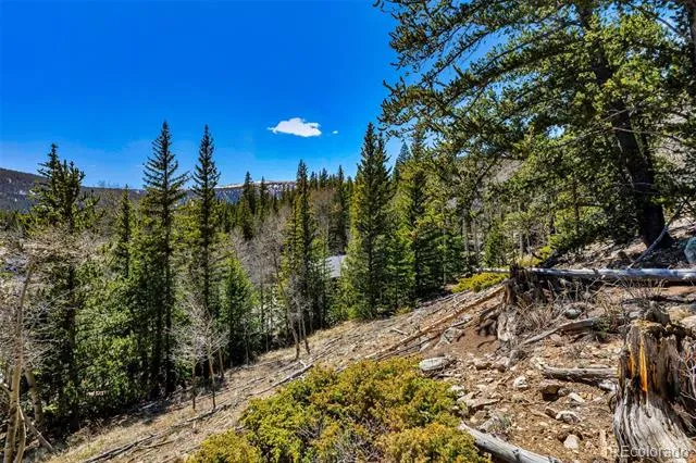 270 Co Rd 667 Fairplay, CO 80440