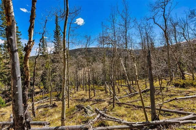 270 Co Rd 667 Fairplay, CO 80440