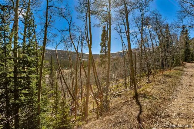 270 Co Rd 667 Fairplay, CO 80440