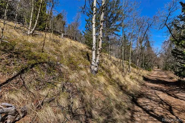 270 Co Rd 667 Fairplay, CO 80440