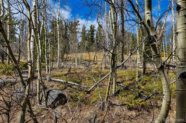 270 Co Rd 667 Fairplay, CO 80440