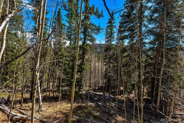 270 Co Rd 667 Fairplay, CO 80440