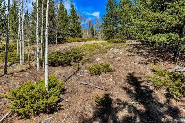 270 Co Rd 667 Fairplay, CO 80440