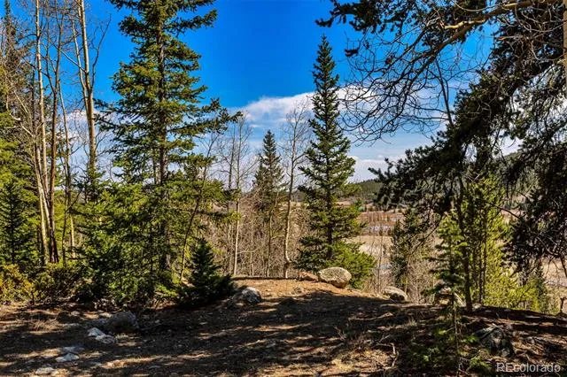 270 Co Rd 667 Fairplay, CO 80440