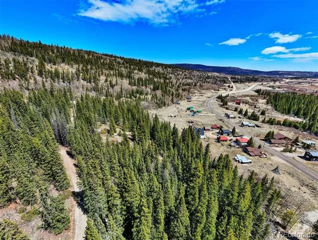 270 Co Rd 667 Fairplay, CO 80440