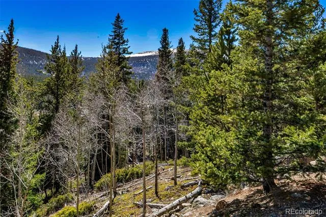 270 Co Rd 667 Fairplay, CO 80440