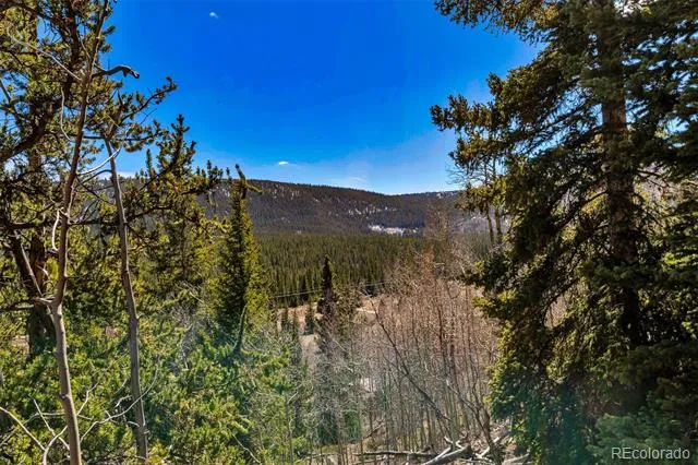 270 Co Rd 667 Fairplay, CO 80440