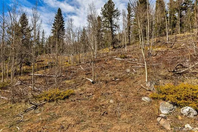 270 Co Rd 667 Fairplay, CO 80440