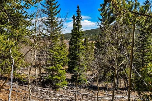 270 Co Rd 667 Fairplay, CO 80440