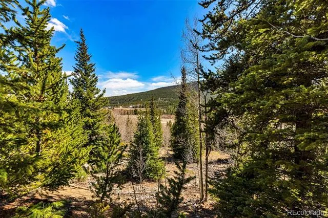 270 Co Rd 667 Fairplay, CO 80440