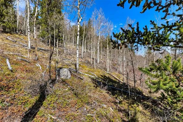 270 Co Rd 667 Fairplay, CO 80440