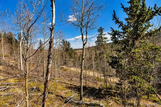 270 Co Rd 667 Fairplay, CO 80440