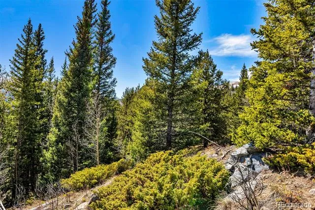 270 Co Rd 667 Fairplay, CO 80440