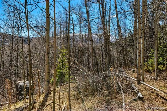 270 Co Rd 667 Fairplay, CO 80440