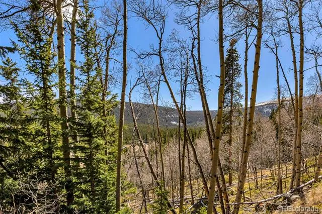 270 Co Rd 667 Fairplay, CO 80440