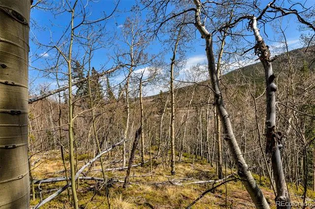 270 Co Rd 667 Fairplay, CO 80440