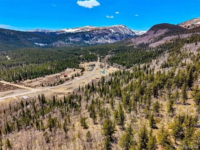 270 Co Rd 667 Fairplay, CO 80440
