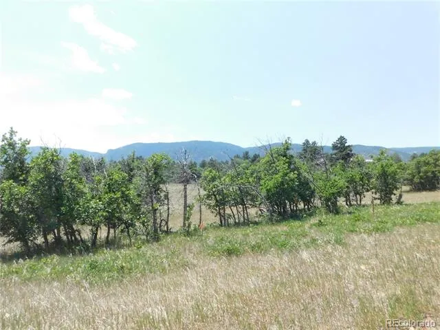 5980 Country Club Drive Larkspur, CO 80118