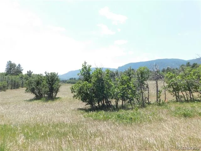 5980 Country Club Drive Larkspur, CO 80118