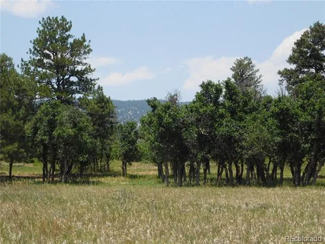 5980 Country Club Drive Larkspur, CO 80118