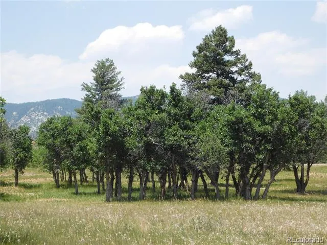 5980 Country Club Drive Larkspur, CO 80118
