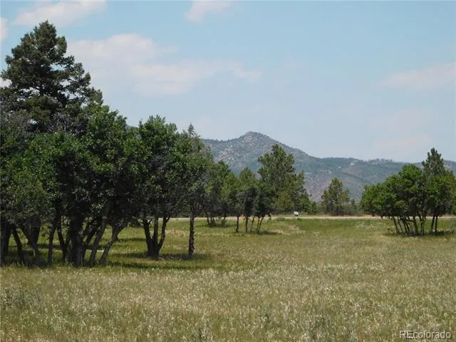 5980 Country Club Drive Larkspur, CO 80118