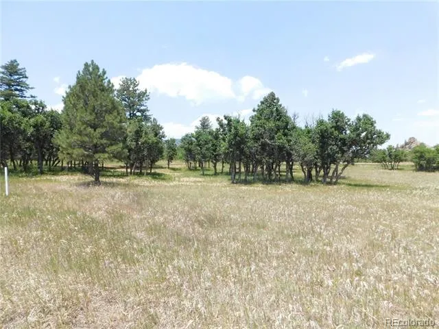 5980 Country Club Drive Larkspur, CO 80118