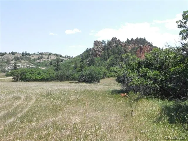 5980 Country Club Drive Larkspur, CO 80118