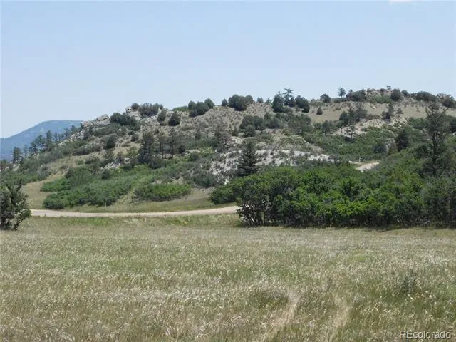 5980 Country Club Drive Larkspur, CO 80118