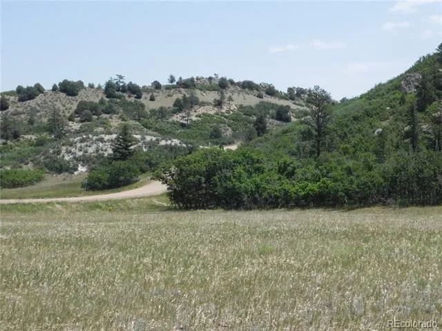 5980 Country Club Drive Larkspur, CO 80118