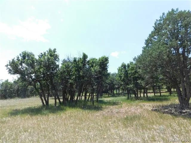 5980 Country Club Drive Larkspur, CO 80118