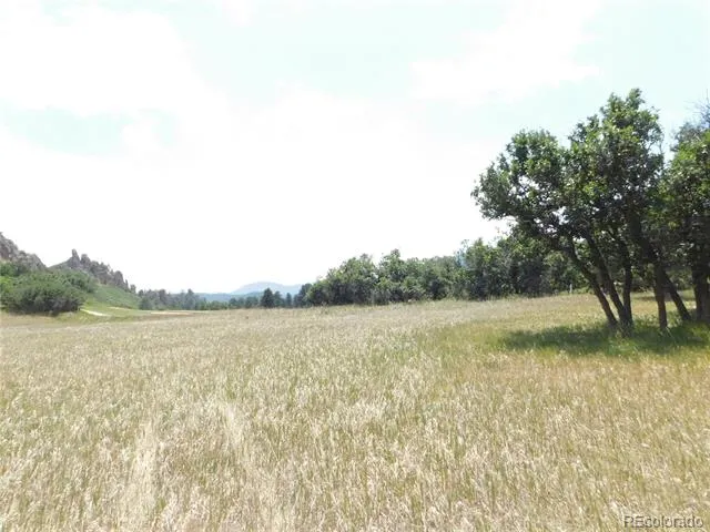 5980 Country Club Drive Larkspur, CO 80118