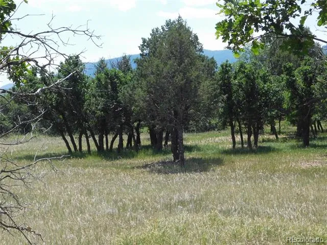 5980 Country Club Drive Larkspur, CO 80118
