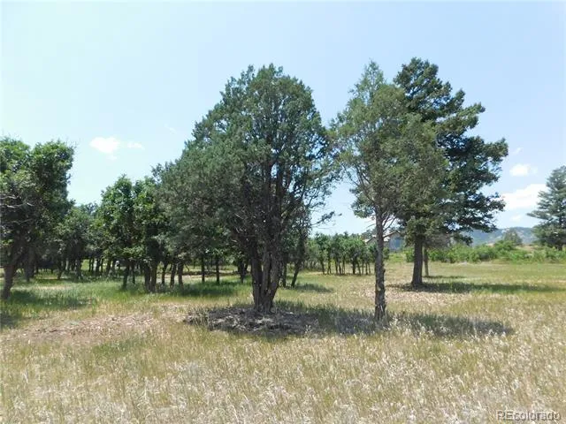 5980 Country Club Drive Larkspur, CO 80118