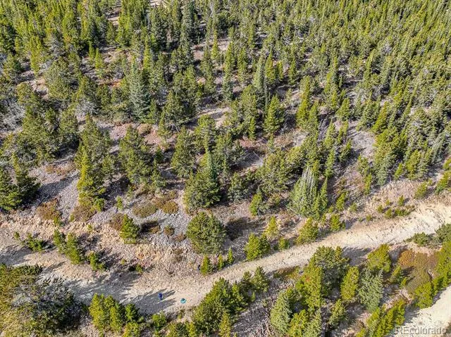 Lot 530 Hilltop Road Idaho Springs, CO 80452