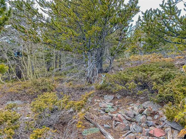 Lot 530 Hilltop Road Idaho Springs, CO 80452